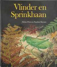 Vlinder en sprinkhaan