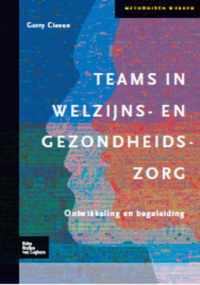 Methodisch werken  -   Teams in welzijns- en gezondheidszorg