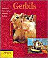 Gerbils