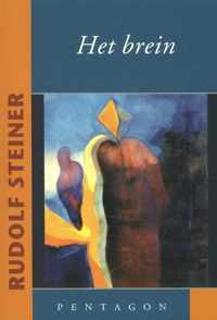 Het brein - Rudolf Steiner - Paperback (9789490455514)