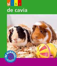 De Kijkdoos 151 -   De cavia