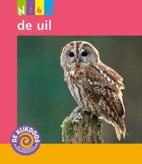 De Kijkdoos  -   De uil