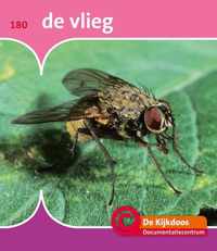 De Kijkdoos 180 -   De vlieg