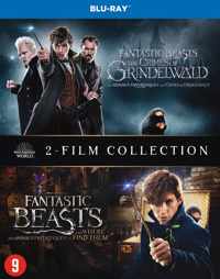 Fantastic Beasts 1+2