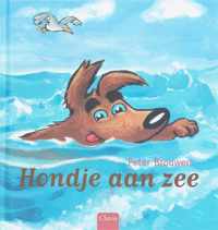 Hondje Aan Zee