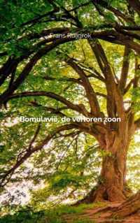 Bomulavië, de verloren zoon # - Frans Ruijgrok - Paperback (9789464486674)