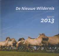 De nieuwe wildernis Agenda 2013