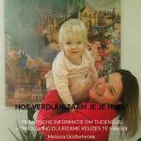 Hoe verduurzaam je je huis? - Melissa Oosterbroek - Paperback (9789464185324)