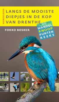 Wandelknooppuntenreeks - Langs de mooiste diepjes in de Kop van Drenthe - Fokko Bosker - Paperback (9789460224218)