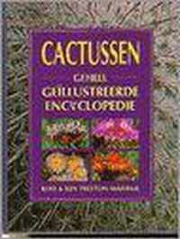 Cactussen