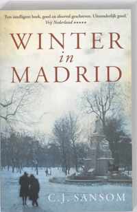 Winter in Madrid