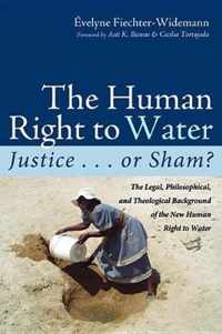 The Human Right to Water