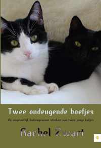 Twee Ondeugende Boefjes