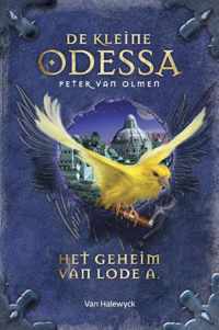 Het geheim van Lode A - Peter van Olmen - Hardcover (9789461316370)