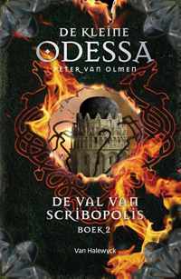 De val van Scribopolis - Peter van Olmen - Hardcover (9789461316936)