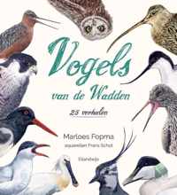 Vogels van de Wadden