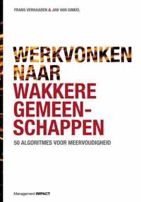 Werkvonken naar wakkere gemeenschappen - Frans Verhaaren, Jan van Ginkel - Hardcover (9789462762176)