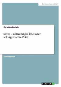 Stress - notwendiges UEbel oder selbstgemachte Pein?