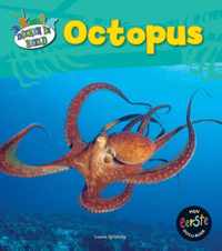 Dieren in beeld  -   Octopus