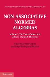 Non Associative Normed Algebras