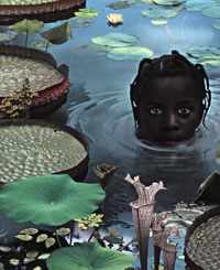 Ruud van Empel - 25 Years of Photo Works 1995-2020