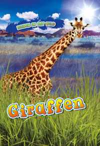 Dieren in het wild  -   Giraffen