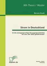 Strom in Deutschland - Ist die erzeugungsseitige Versorgungssicherheit bis zum Jahr 2022 gewahrleistet?