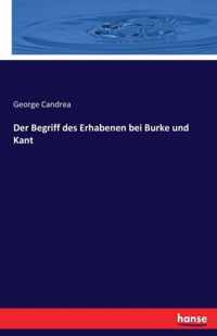 Der Begriff des Erhabenen bei Burke und Kant