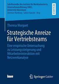 Strategische Anreize fuer Vertriebsteams