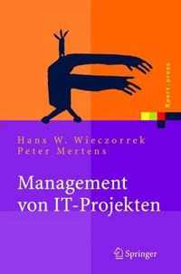 Management Von It-Projekten