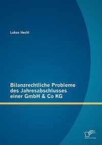 Bilanzrechtliche Probleme des Jahresabschlusses einer GmbH & Co KG