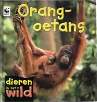 Dieren in het wild  -   Orang-oetans