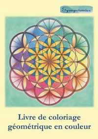 Livre de Coloriage Geometrique En Couleur