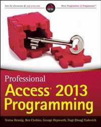 Professional Access 2013 Programming