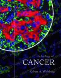The Biology of Cancer