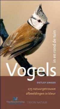 Vogels in en rond de tuin