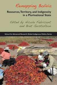 Remapping Bolivia: Resources, Territory, and Indigeneity in a Plurinational State