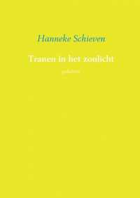 Tranen in het zonlicht - Hanneke Schieven - Paperback (9789402129052)