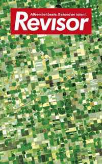Revisor 10