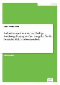 Anforderungen an eine nachhaltige Anreizregulierung der Netzentgelte fur die deutsche Elektrizitatswirtschaft