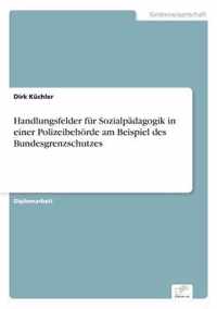 Handlungsfelder fur Sozialpadagogik in einer Polizeibehoerde am Beispiel des Bundesgrenzschutzes