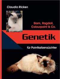 Genetik fur Pointkatzenzuchter