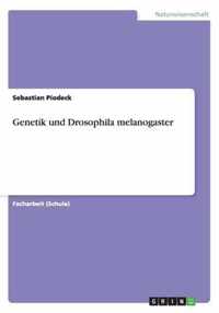 Genetik und Drosophila melanogaster