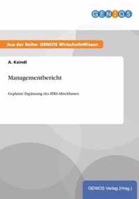 Managementbericht