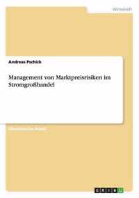 Management von Marktpreisrisiken im Stromgrosshandel