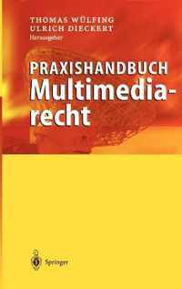 Praxishandbuch Multimediarecht