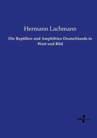 Die Reptilien und Amphibien Deutschlands in Wort und Bild