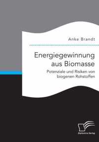 Energiegewinnung aus Biomasse. Potenziale und Risiken von biogenen Rohstoffen