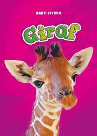Baby-dieren  -   Giraf