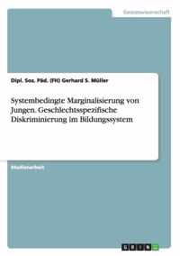 Systembedingte Marginalisierung von Jungen. Geschlechtsspezifische Diskriminierung im Bildungssystem